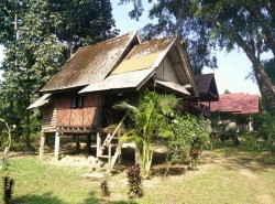 Guesthouse Khao Sok