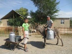 Kyrgyz Kids