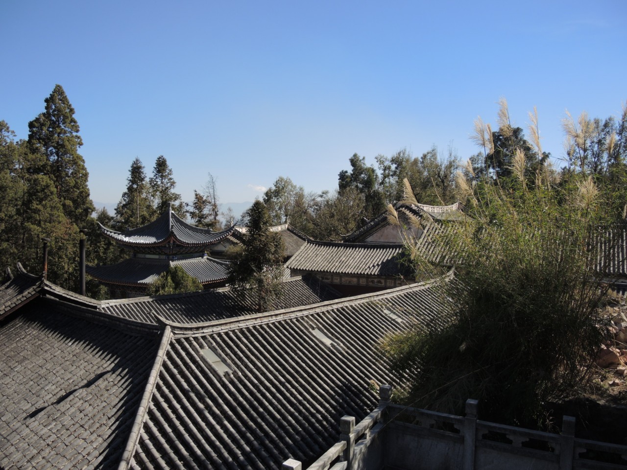 Wu Wei Si - Roofs