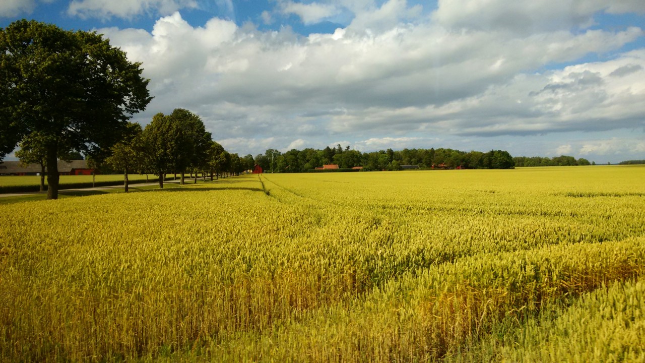 Around the Vipassana Centre Sweden