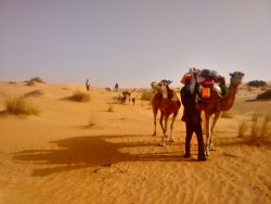 With nomads in the Sahara