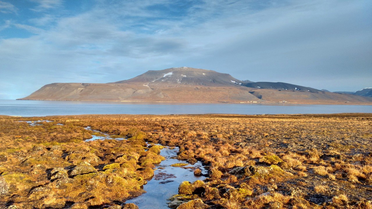 Svalbard